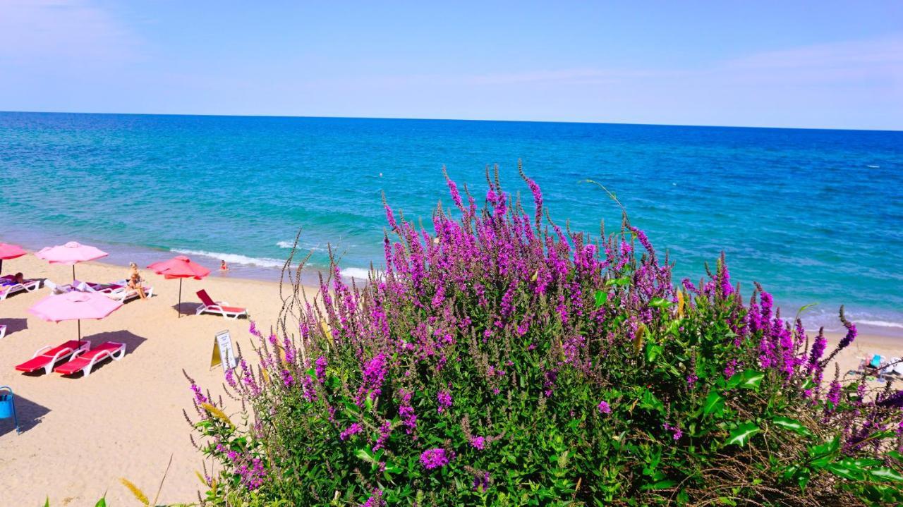 Byala Vista Beach Apartments D - Бяла Виста Бийч Апартментс Д Exterior foto